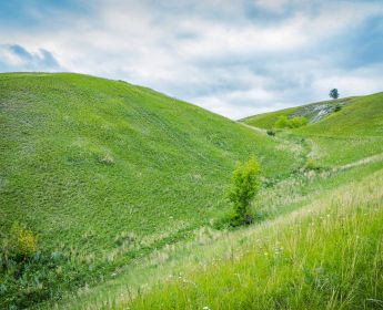 Spiritual Perceptions