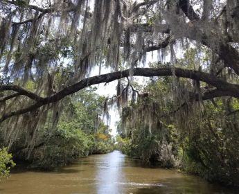 Bayou